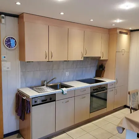 Apartment Steinbock *