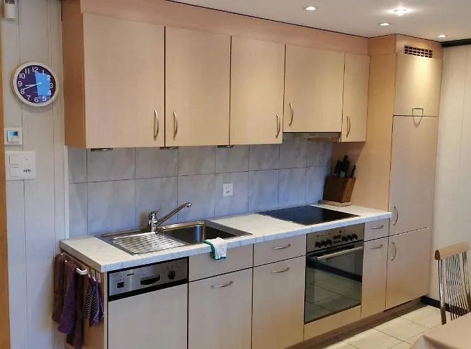 Apartman Steinbock *