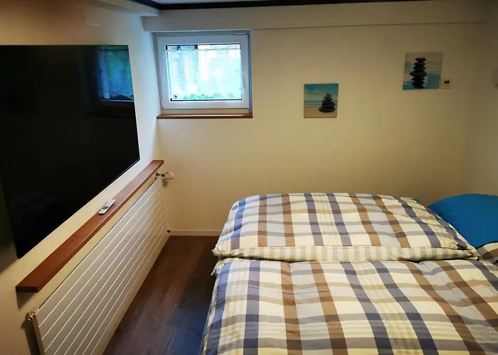 Apartment Steinbock *