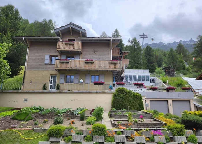 Apartman Steinbock *